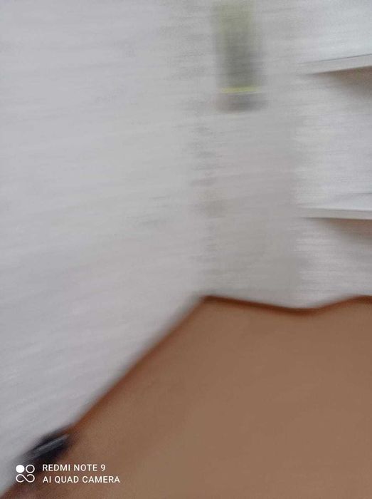 Раковина Белависта