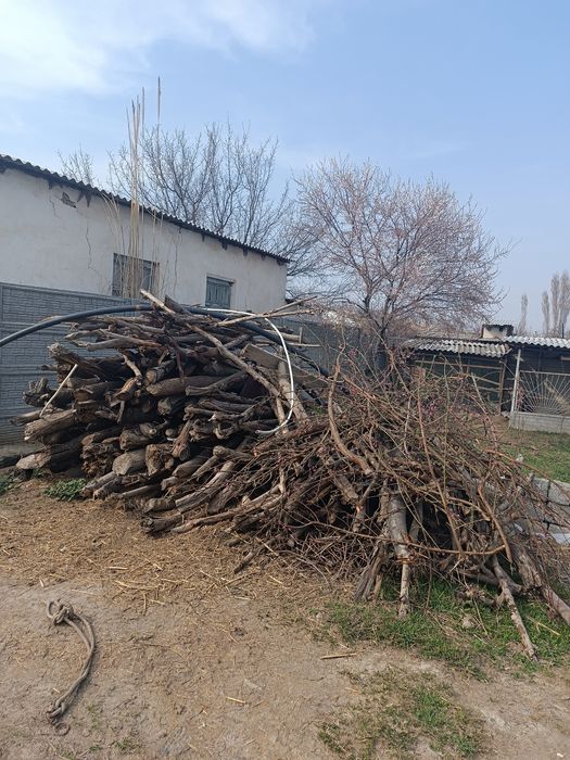 Дарахт Утин сотилади