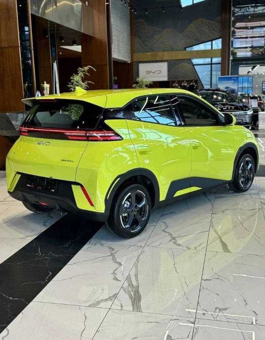 BYD Seagull pod zakaz