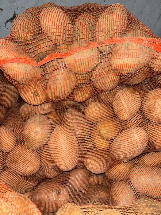 Vand cartofi consum samanta si pentru animale