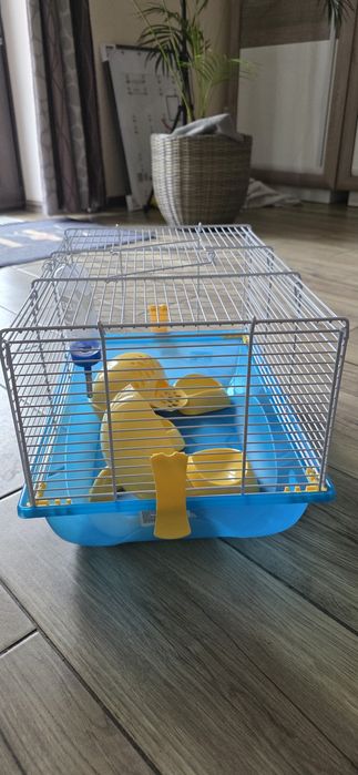 Cusca rozătoare mici (hamster)