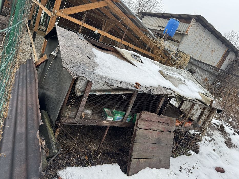 Клетки , будка для животных