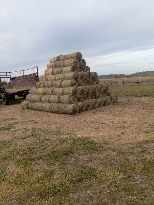 Продам сено 700 т. За тюк