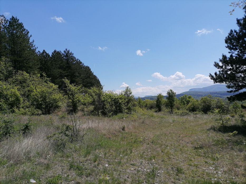 Продава се Земеделски имот в Ябланица -  кв.м за 714 €/дка - Снимка #2