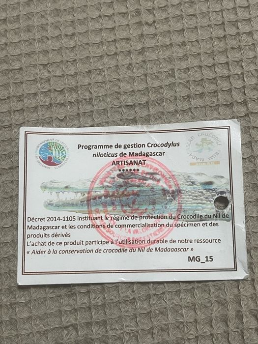 Сумка оригинал из крокодила