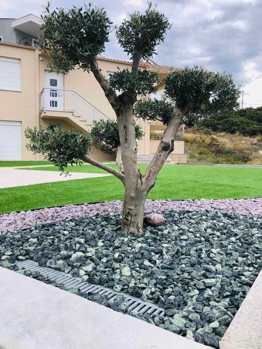 Marmura decorativa Depozit langa Vama Craiova