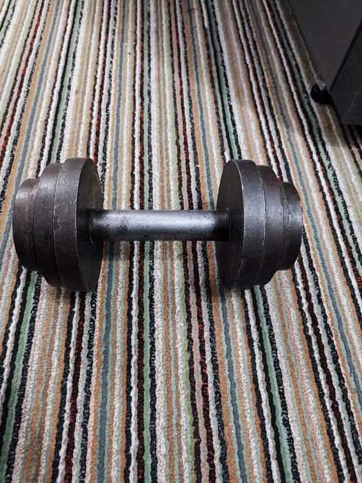 Гантел 10 кг БИР штук