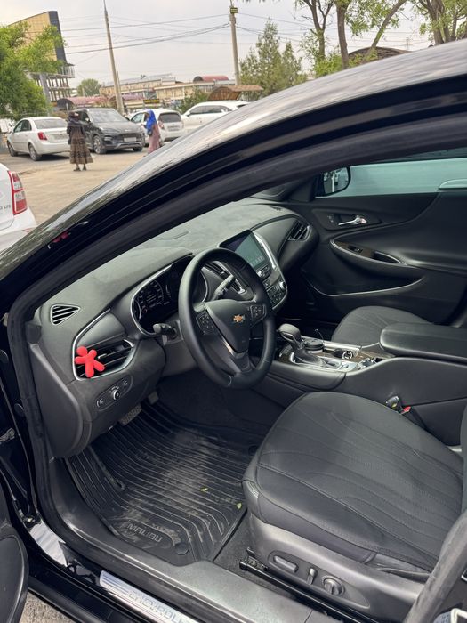 Malibu premier tozza-2021