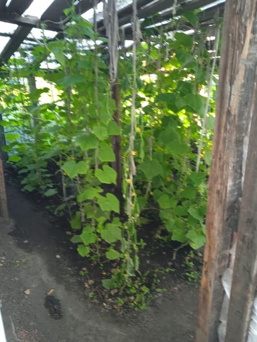 Продается дом 4 комнаты