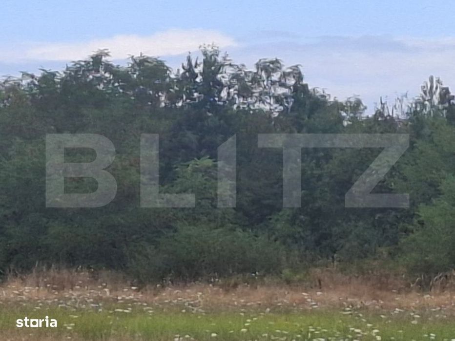 Padure de vanzare, 0,75 hectare, zona Suta Seaca