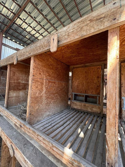 клетки для кроликов