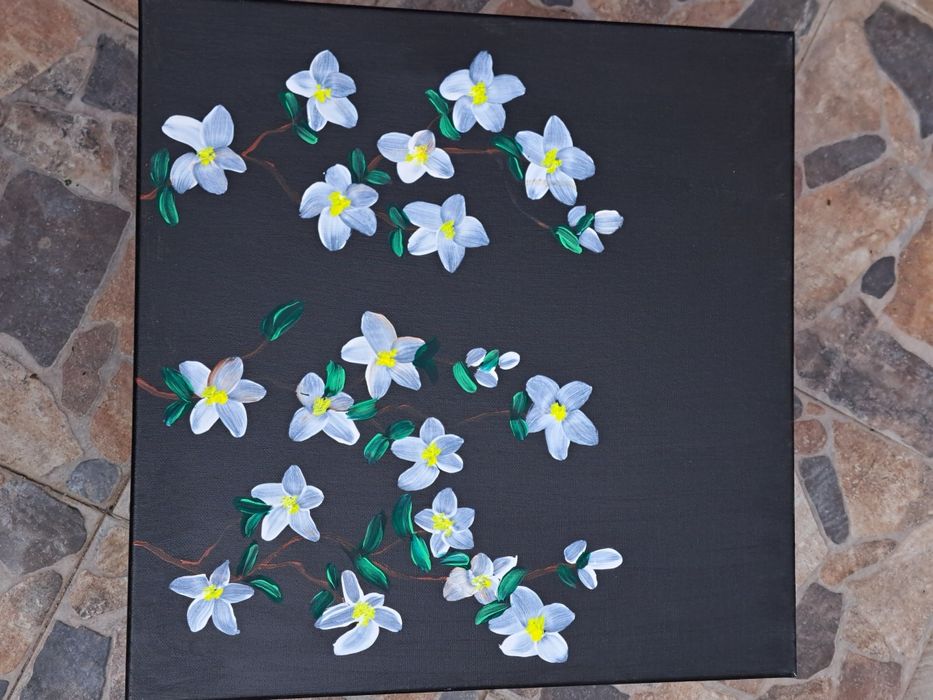 Picturi pe panza cu sasiu pictate manual i