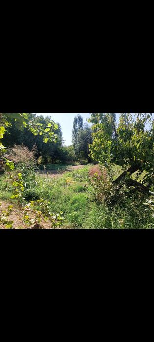 Продам пустую землю