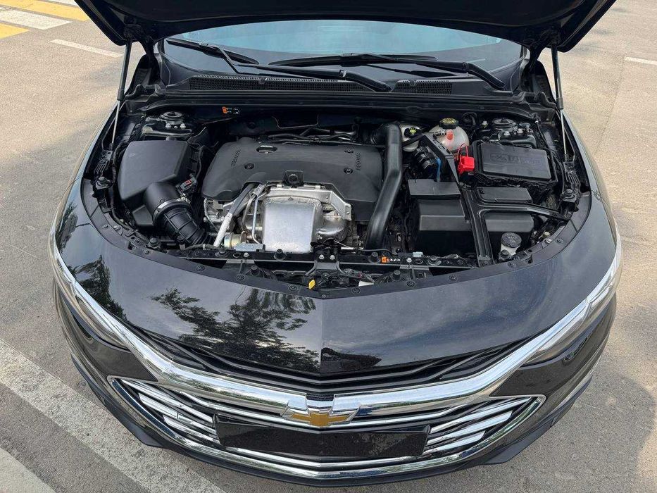 Малибу -2 Премиер кора 2022й краска тозза