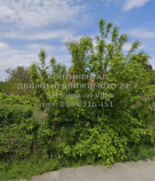 Едноетажна къща 70м2 обзаведена с двор 1670м2 - код 62264