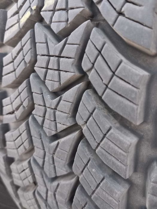 215/55 R17 Debica frigo