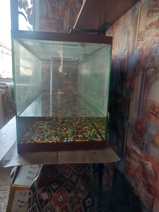 Продам аквариум 200 литров