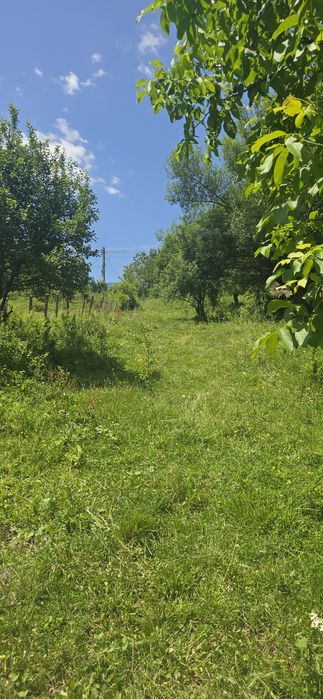 Vand/schimb garsoniera Ploiești  teren Sotrile 2237mp.