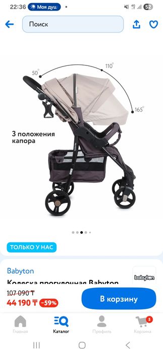 Коляска прогулочная Babyton