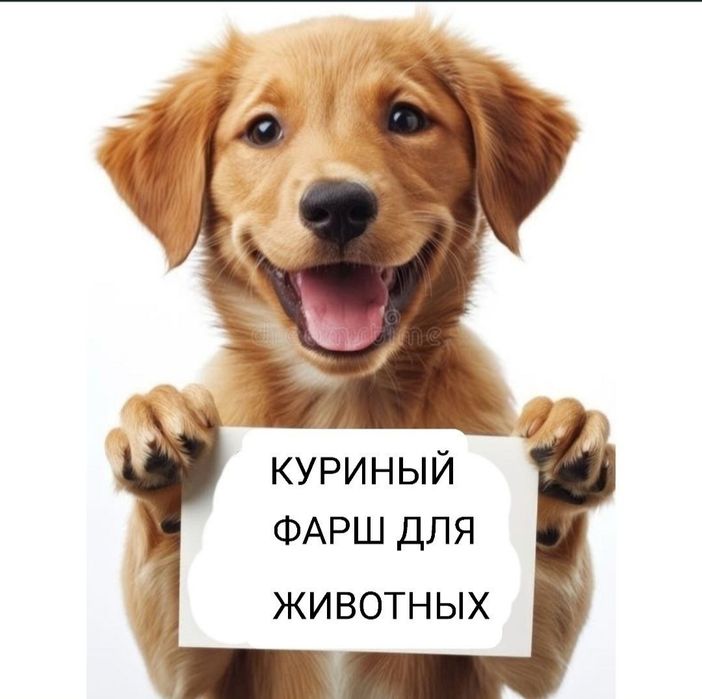 Куриный фарш для животных.