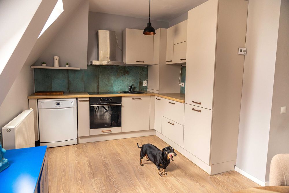 Apartament cu 3 camere în Cluj-Napoca, pet friendly, parcare, Europa