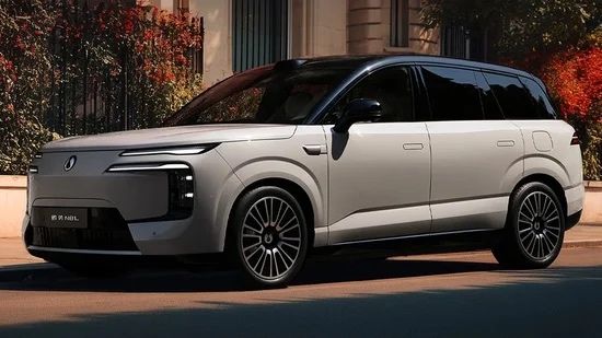 Denza N8L под заказ от Terra Auto