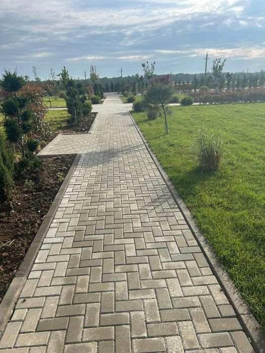 Montaj pavele,borduri,bransamente apa,canal,fose,gazon,sapaturi manual