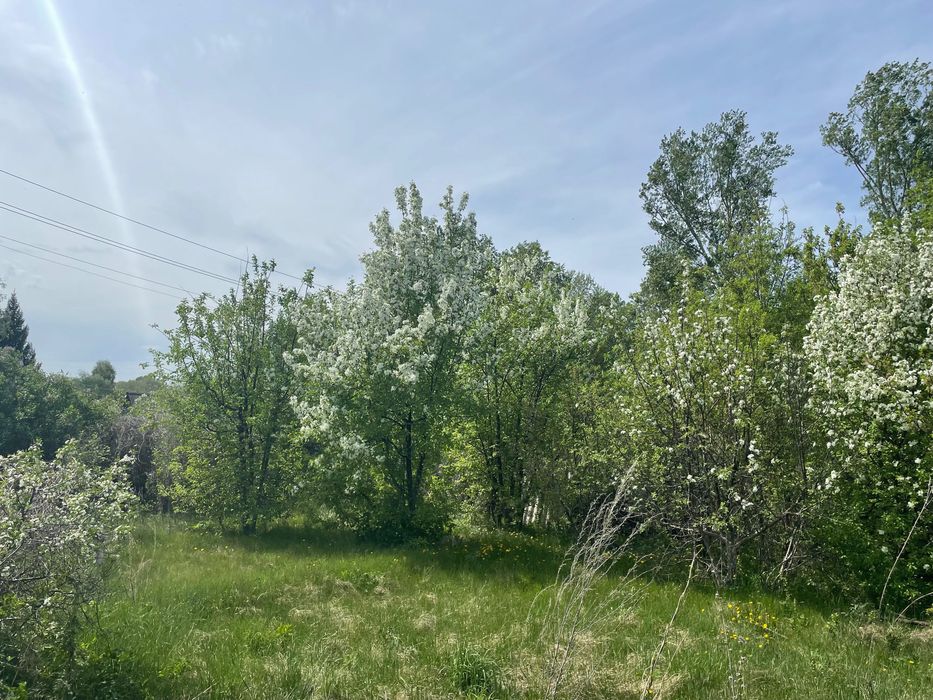 Продам дачу Восточник-Степной (Акимовка)