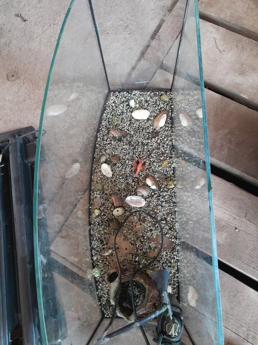 Аквариум для рыбы