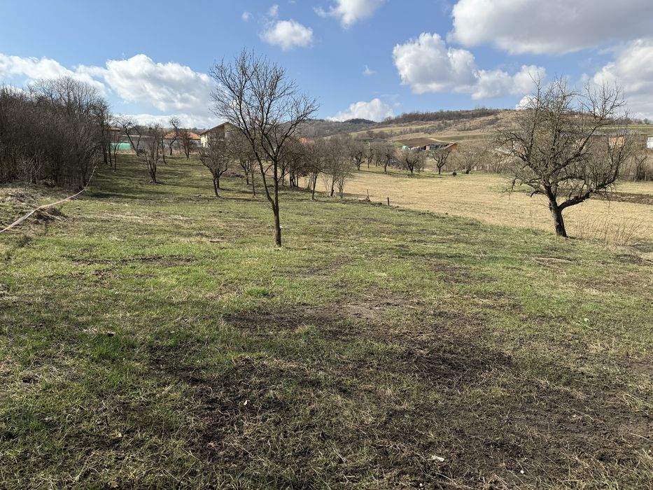Vand teren intravilan la str. Principala nr. 81 3484 mp, front 19 m sat Corusu, comuna Baciu.