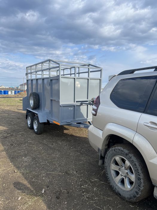 Аренда прицеп скотовоз