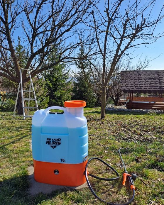 Curatam terene tudem pom