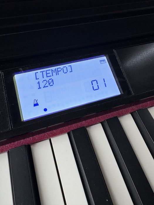 Roland GO PIANO pianină electronică cadou perfect de crăciun