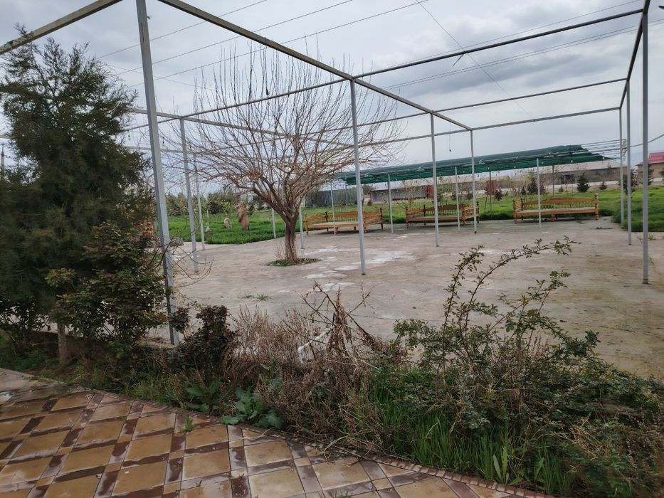 Чойхона нотурар жой тайёр безниси билан.