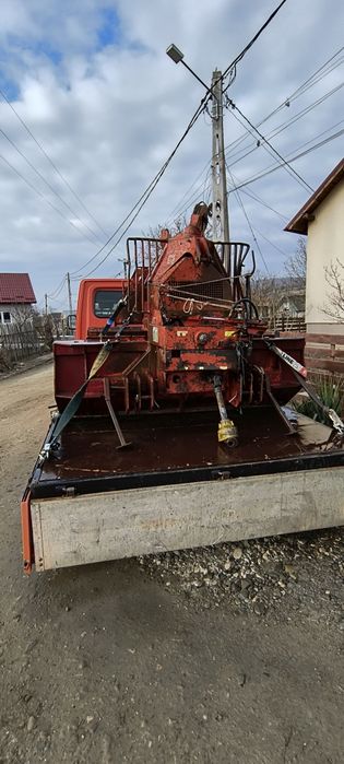 Troliu forestier 6 tone