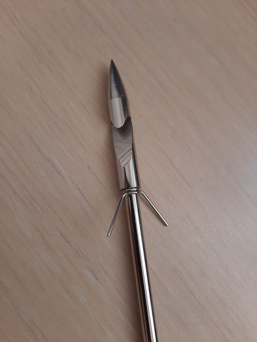 Sageti sageata prastie pescuit