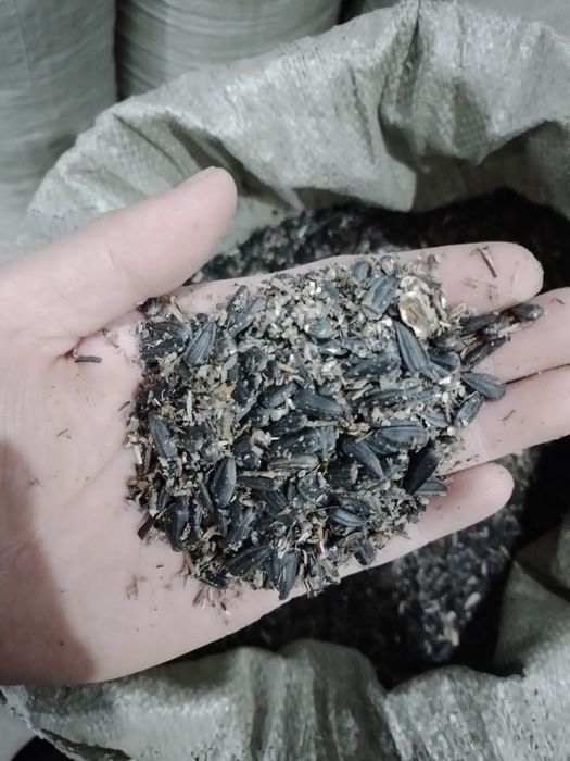 Жем отход от семечки