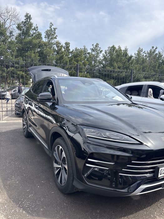 Byd chimpion gibrid full