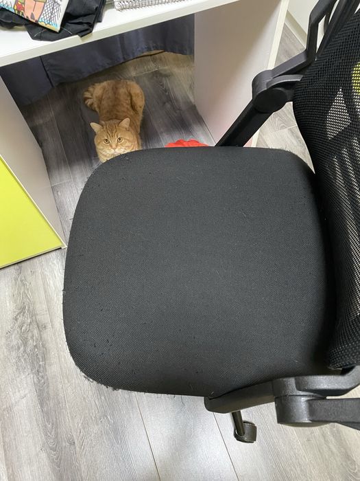 Пране на мека мебел