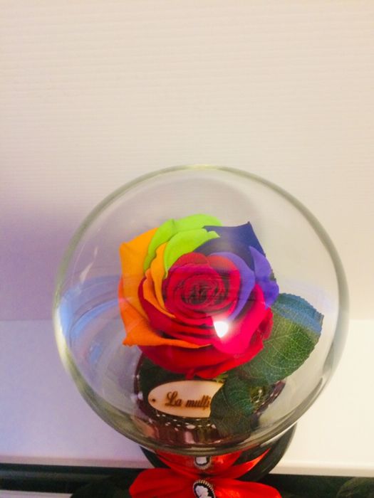 Trandafir criogenat conservat ideal pt cadou iubita sotie