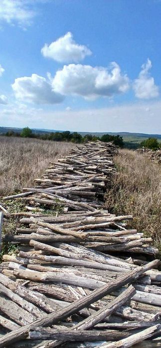 Дървени колове за конструкция на лозя