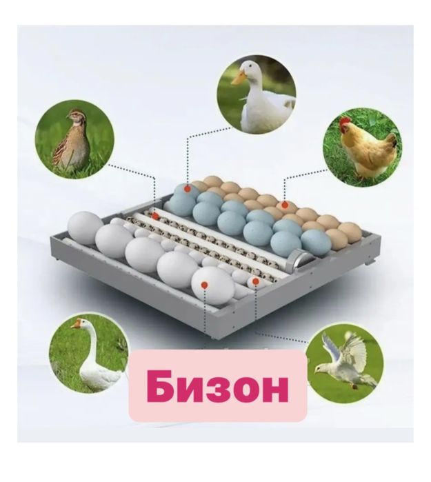 Инкубатор 92 яйцо