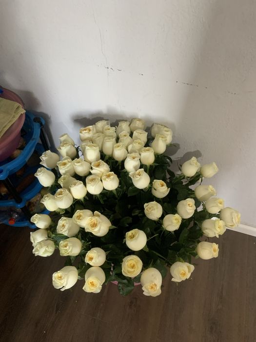 Гул сатылады шымкент