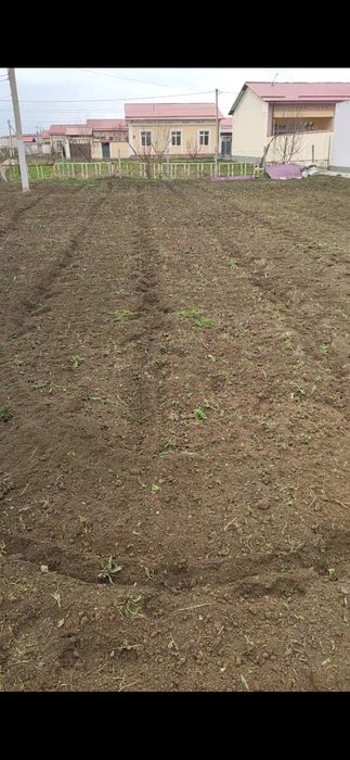 Бог килиш ер огдариш