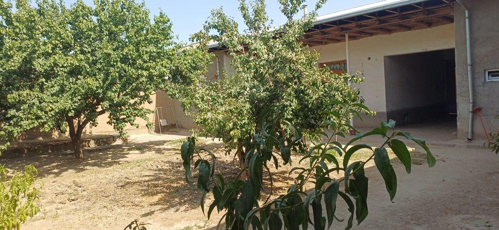 Жой сотилади , Ташми 16 йиллик