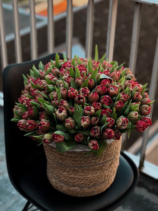 Тюльпаны в кашпо