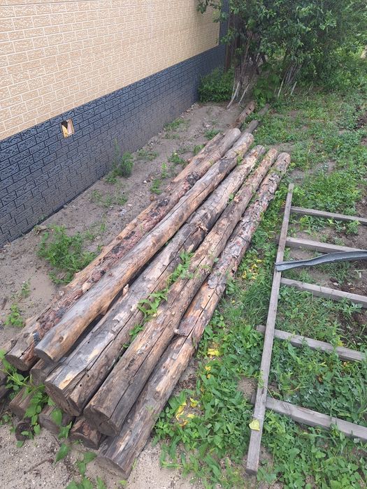 Продам бревна 10шт