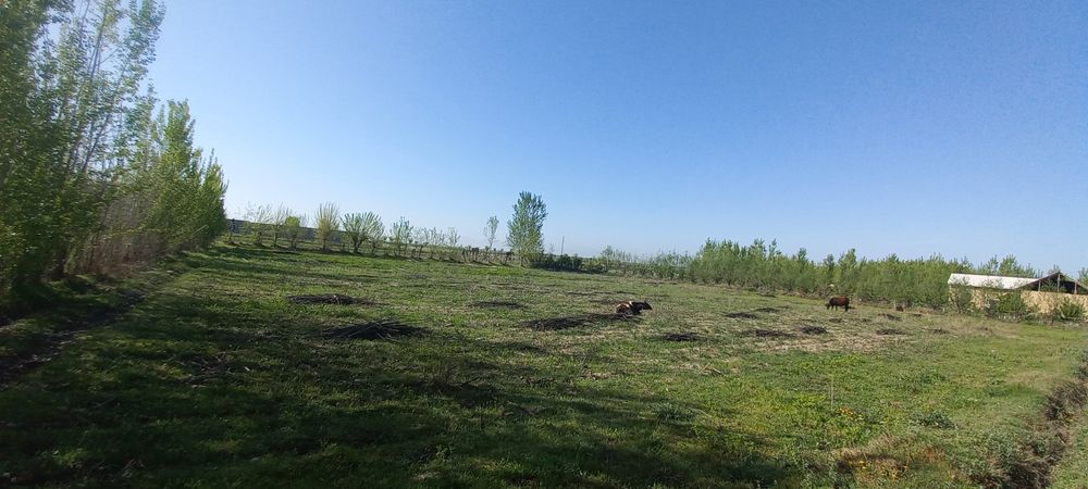 Srochni yer sotiladi