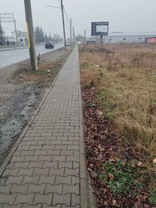 Teren DUMBRAVA ROSIE - de vanzare/de inchiriat