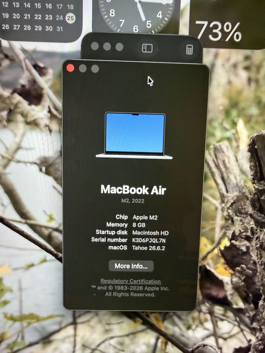 Macbook Air M2 M 8 GB 256